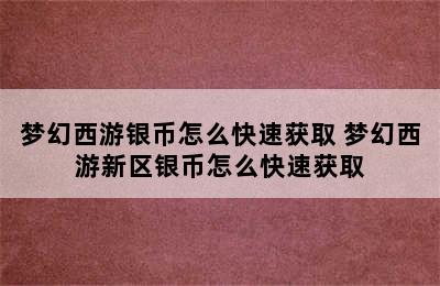 梦幻西游银币怎么快速获取 梦幻西游新区银币怎么快速获取